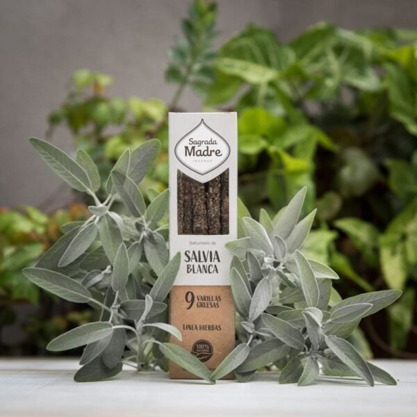 Incienso de hojas de salvia blanca y copal - Sagrada Madre